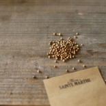 CORIANDRE - Graines BIO | Ferme de Sainte Marthe | Graines et Bio