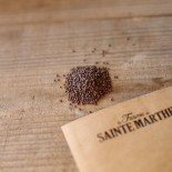 MOUTARDE NOIRE - Graines non traitées | Ferme de Sainte Marthe | Graines et Bio