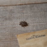 SARRIETTE Vivace - Graines BIO | Ferme de Sainte Marthe | Graines et Bio