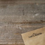 POIRE MELON Pepino - Graines non traitées | Ferme de Sainte Marthe | Graines et Bio
