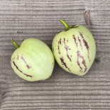 POIRE MELON Pepino - Graines non traitées | Ferme de Sainte Marthe | Graines et Bio