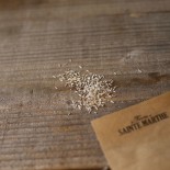 LAITUE BATAVIA La Brillante - Graines BIO | Ferme de Sainte Marthe | Graines et Bio