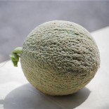 Melon De Cavaillon Espagnol à Chair Rose - Graines Baumaux