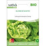 LAITUE GLOIRE de NANTES - Graines BIO | Sativa | Graines et Bio