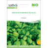 CRESSON à Grandes Feuilles - Graines BIO | Sativa | Graines et Bio