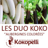 AUBERGINES Couleurs - DUO Kokopelli - Graines BIO | KOKOPELLI | Graines et Bio