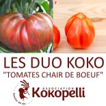 TOMATES CHAIR de BOEUF - DUO Kokopelli - Graines BIO | KOKOPELLI | Graines et Bio