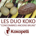 CONCOMBRES ANCIENS BRUNS - DUO Kokopelli - Graines BIO | KOKOPELLI | Graines et Bio