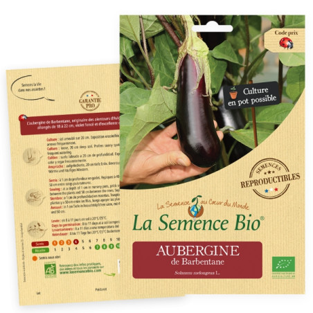 Aubergine Violette De Barbentane AB - Graine Aubergine | Magellan Bio