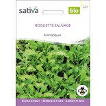 ROQUETTE Sauvage - Graines BIO | Sativa | Graines et Bio