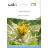 CHARDON BÉNI - Graines BIO | Sativa | Graines et Bio