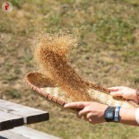MILLET Himalyan Finger - Kokopelli - Graines BIO | KOKOPELLI | Graines et Bio