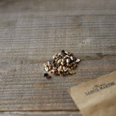 Graines De Tournesol Desire Red F1- Helianthus Annuus Le Sachet De 10 Graines Environ - Foto 2