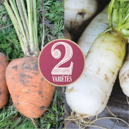 Carotte et Navet en Mélange - Marthe 🥕 Livraison Gratuite