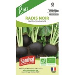 RADIS NOIR Gros Rond d'HIVER - Graines BIO | SANRIVAL | Graines et Bio