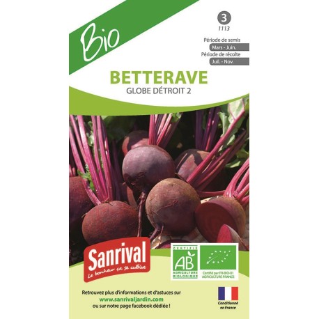 BETTERAVE GLOBE Détroit 2 - Graines BIO | SANRIVAL | Graines et Bio