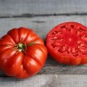 TOMATE COUILLES DE TAUREAU - Graines BIO | Ferme de Sainte Marthe | Graines et Bio