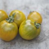 TOMATE VERTE "Green Grape" - Graines BIO | Ferme de Sainte Marthe | Graines et Bio