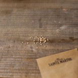 TOMATE JOIE DE LA TABLE - Graines BIO | Ferme de Sainte Marthe | Graines et Bio