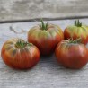 TOMATE NOIRE DE CRIMÉE - Graines BIO | Ferme de Sainte Marthe | Graines et Bio