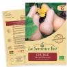 COURGE BUTTERNUT Musquée - Graines BIO | La Semence Bio | Graines et Bio