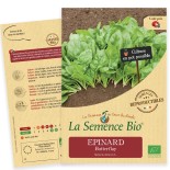 ÉPINARD PRÉCOCE Butterflay - Graines BIO | La Semence Bio | Graines et Bio