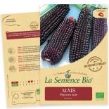 MAÏS POP CORN Noir - Graines BIO | La Semence Bio | Graines et Bio