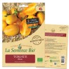 TOMATE COCKTAIL ORANGE Blush - Graines BIO | La Semence Bio | Graines et Bio