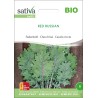 CHOU KALE Frisé Red Russian - Graines BIO | Sativa | Graines et Bio