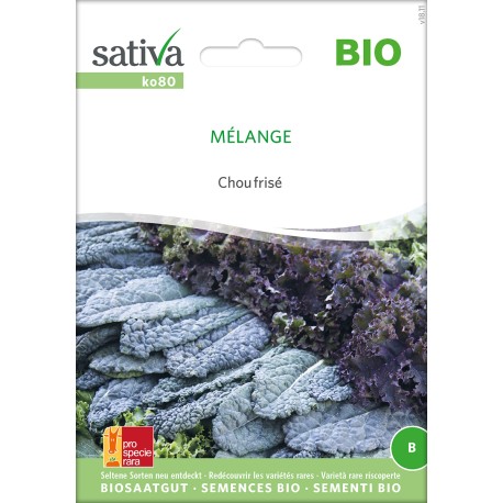 CHOUX KALE ou CHOUX FRISÉS en Mélange - Graines BIO | Sativa | Graines et Bio CHOUX KALE ou CHOUX FRISÉS en Mélange - Graines BIO | Sativa | Graines et Bio