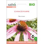 ECHINACÉE POURPRE - Graines BIO | Sativa | Graines et Bio