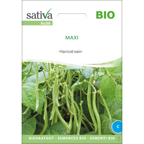 HARICOT NAIN Maxi - Graines BIO | Sativa | Graines et Bio