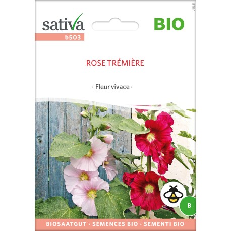 ROSE TRÉMIÈRE - Graines BIO | Sativa | Graines et Bio