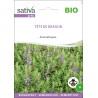 TÊTE de DRAGON - Graines BIO | Sativa | Graines et Bio