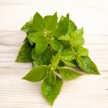 Graines de BASILIC - BASILIC PÉRUVIEN - Graines BIO