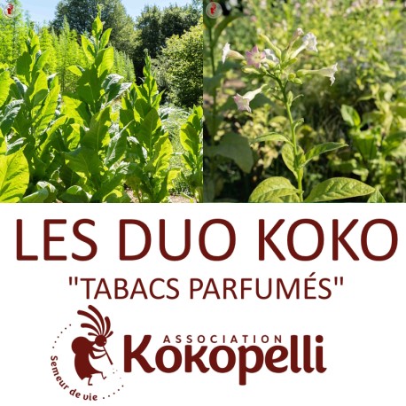 TABACS PARFUMÉS - DUO Kokopelli - Graines BIO | KOKOPELLI | Graines et Bio