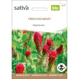 TRÈFLE ROUGE Incarnat - Graines BIO | Sativa | Graines et Bio