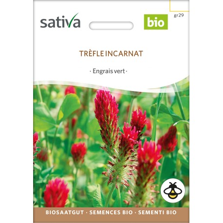 TRÈFLE ROUGE Incarnat - Graines BIO | Sativa | Graines et Bio