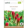 TRÈFLE ROUGE Incarnat - Graines BIO | Sativa | Graines et Bio