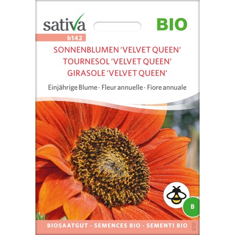 TOURNESOL VELVET QUEEN - Graines BIO | Sativa | Graines et Bio