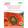 TOURNESOL VELVET QUEEN - Graines BIO | Sativa | Graines et Bio