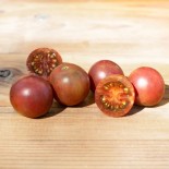 🍅 Graines de TOMATE - TOMATE CERISE Chocolate Cherry - Graines BIO