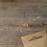 TOMATE COUILLES DE TAUREAU - Graines BIO | Ferme de Sainte Marthe | Graines et Bio