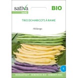 Mélange HARICOTS COULEURS À RAME - Graines BIO | Sativa | Graines et Bio