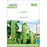 PETIT POIS NAIN Grain Ridé "Gloriosa" - Graines BIO | Sativa | Graines et Bio