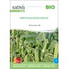 PETIT POIS NAIN Grain Ridé "Merveille de Kelvedon" - Graines BIO | Sativa | Graines et Bio