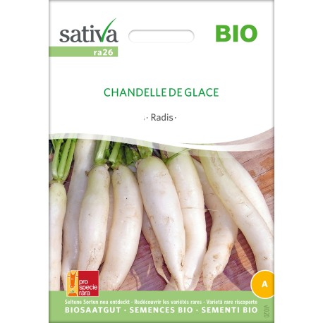 RADIS DOUX "Chandelle de Glace" - Graines BIO | Sativa | Graines et Bio