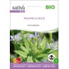 TRIGONELLE Bleue (Fenugrec) - Graines BIO | Sativa | Graines et Bio