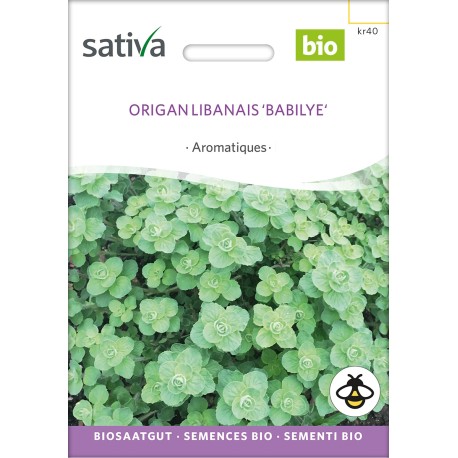 ORIGAN LIBANAIS - Graines BIO | Sativa | Graines et Bio ORIGAN LIBANAIS - Graines BIO | Sativa | Graines et Bio
