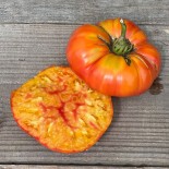 TOMATE STRIPED GERMAN - Graines BIO